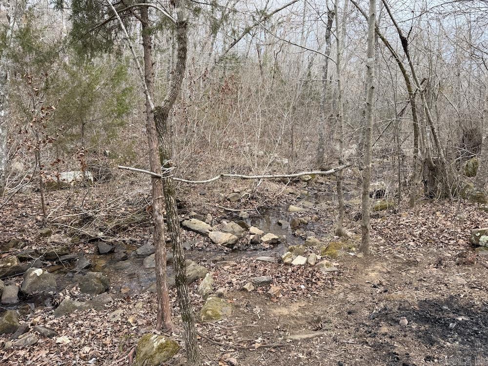 920 Monahan Road  Mountain View, AR