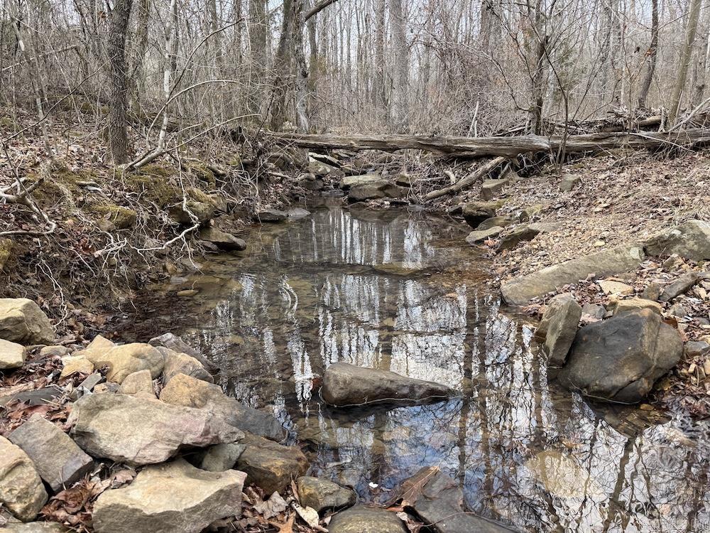 920 Monahan Road  Mountain View, AR