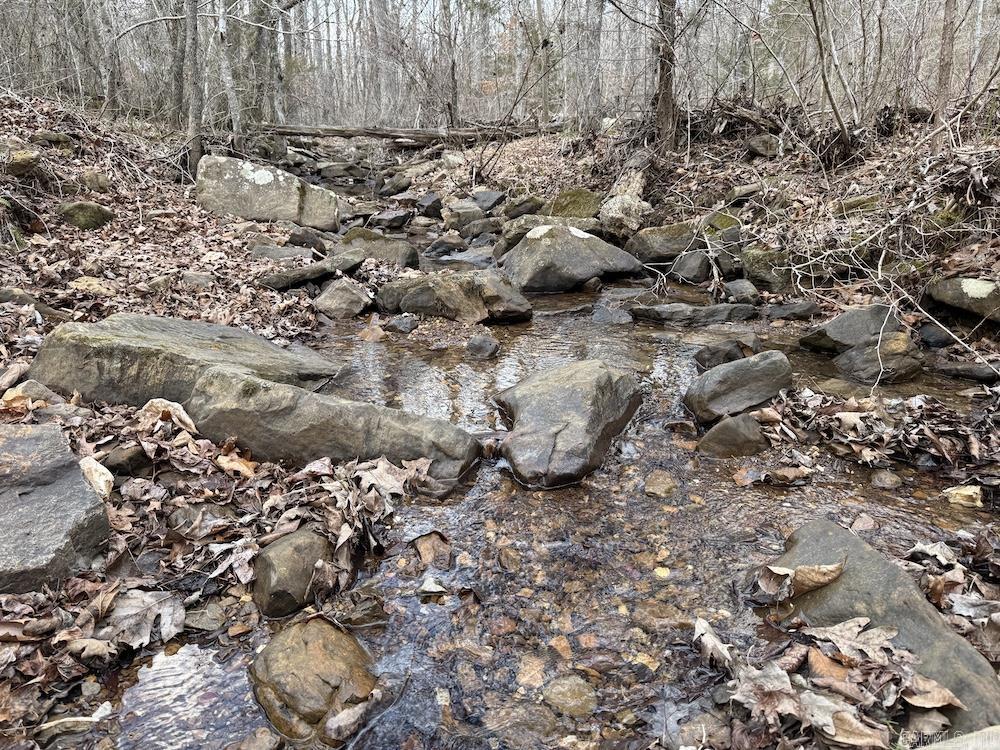 920 Monahan Road  Mountain View, AR