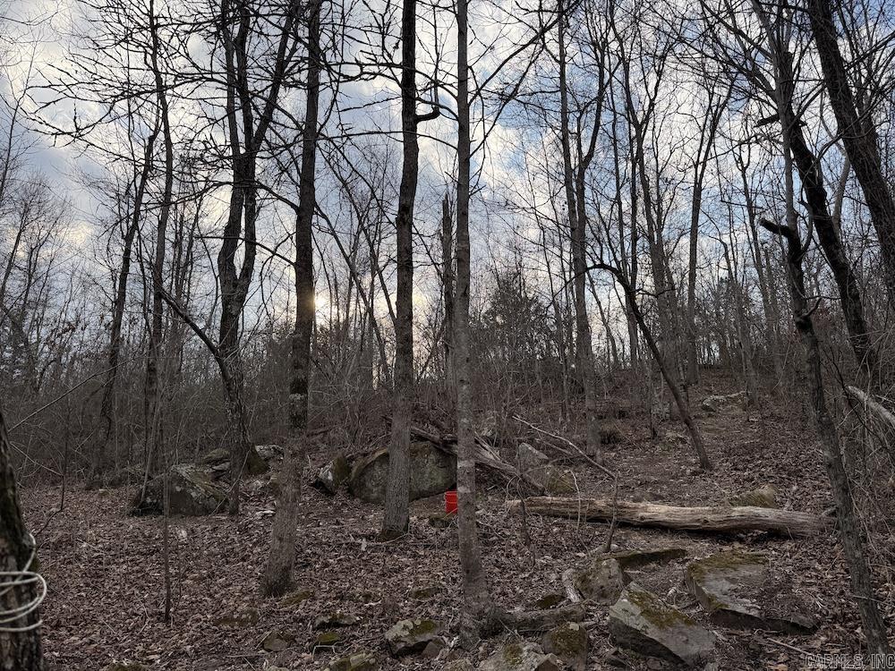 920 Monahan Road  Mountain View, AR