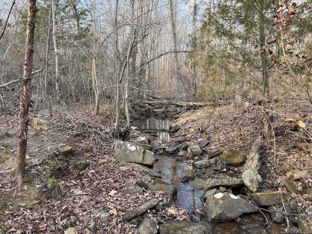 920 Monahan Road  Mountain View, AR