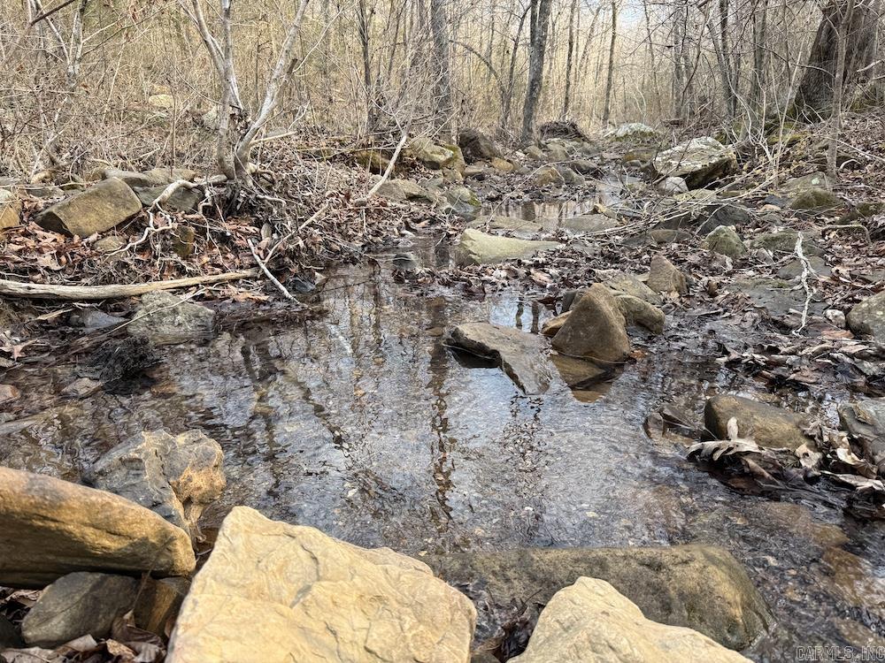 920 Monahan Road  Mountain View, AR