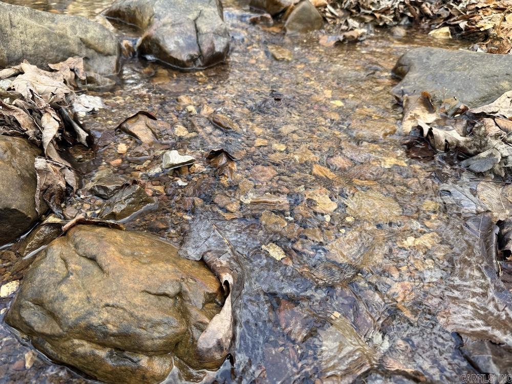 920 Monahan Road  Mountain View, AR