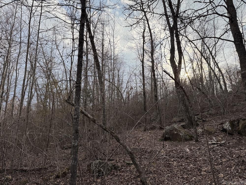 920 Monahan Road  Mountain View, AR