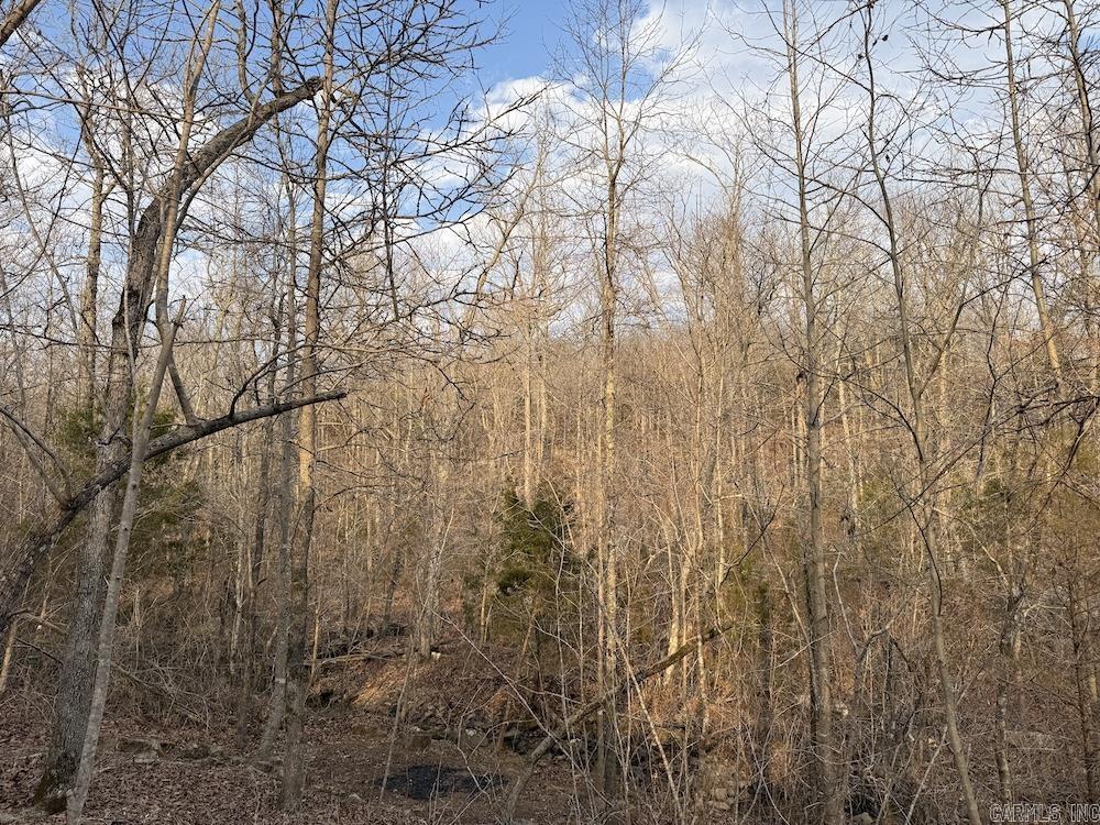 920 Monahan Road  Mountain View, AR