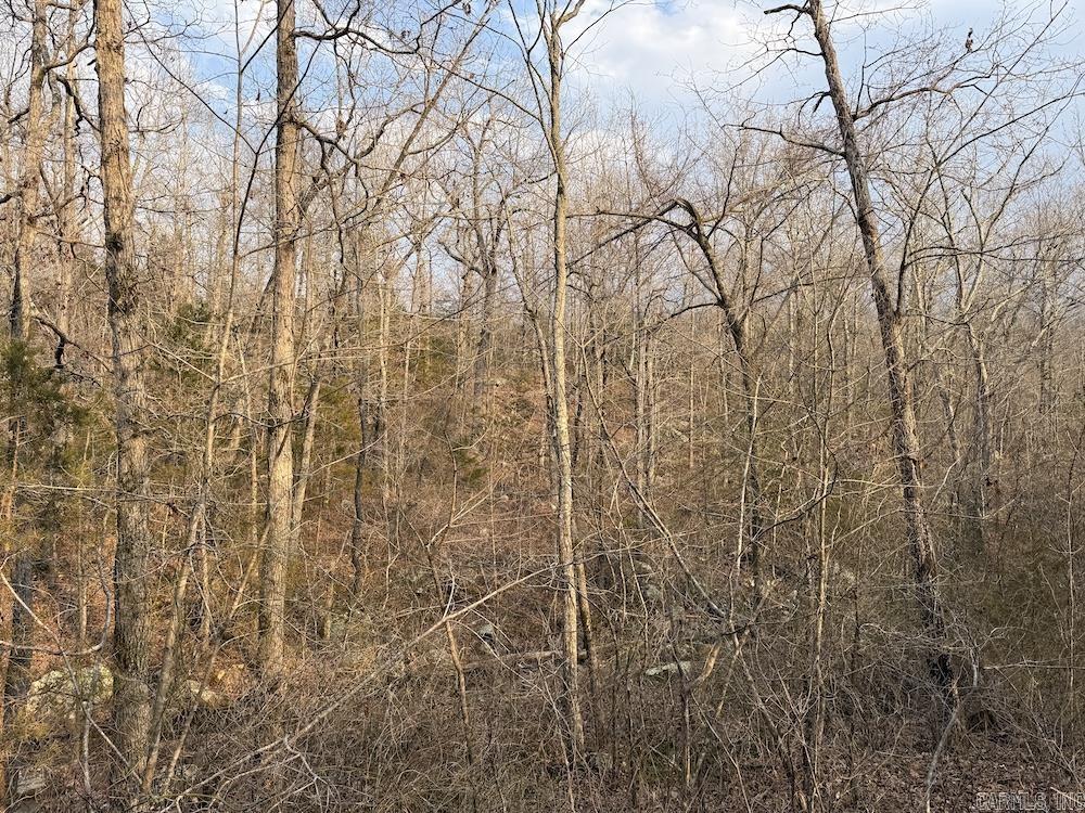 920 Monahan Road  Mountain View, AR