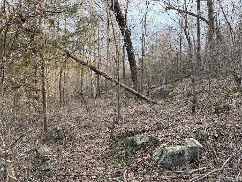 920 Monahan Road  Mountain View, AR