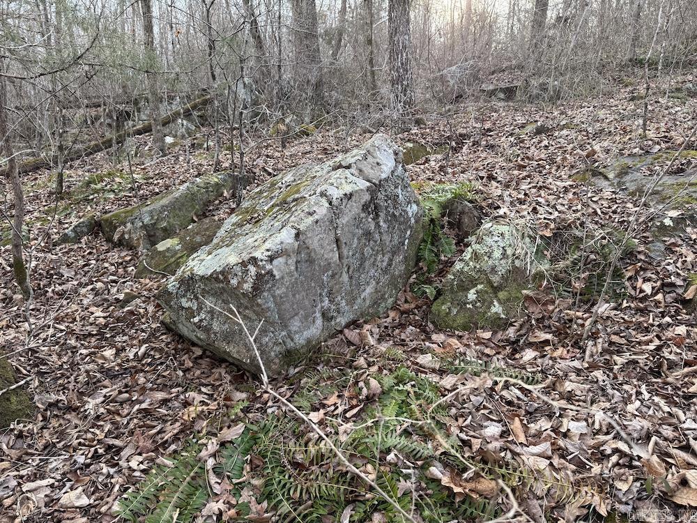 920 Monahan Road  Mountain View, AR