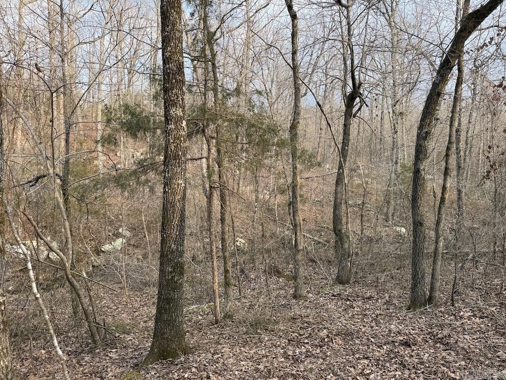 920 Monahan Road  Mountain View, AR