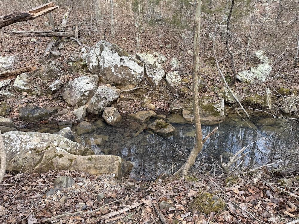 920 Monahan Road  Mountain View, AR