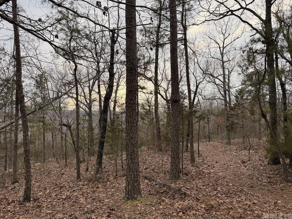 920 Monahan Road  Mountain View, AR