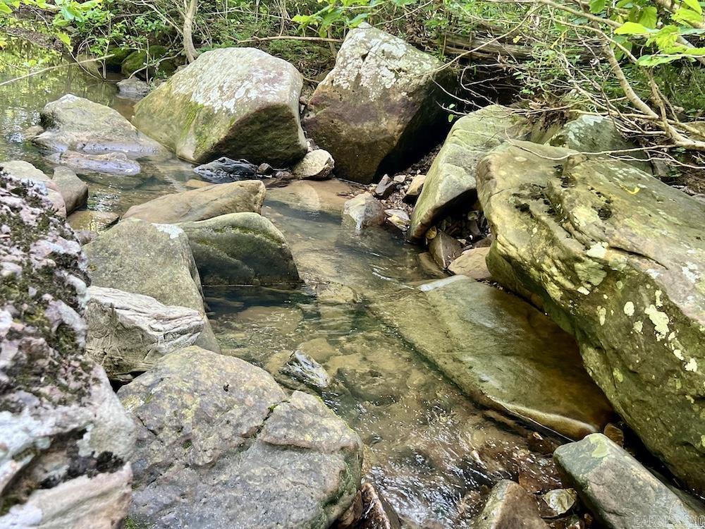 920 Monahan Road  Mountain View, AR