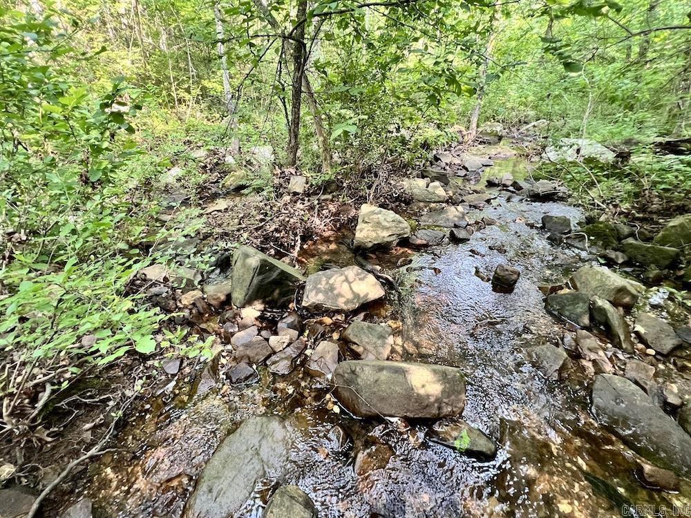 920 Monahan Road  Mountain View, AR