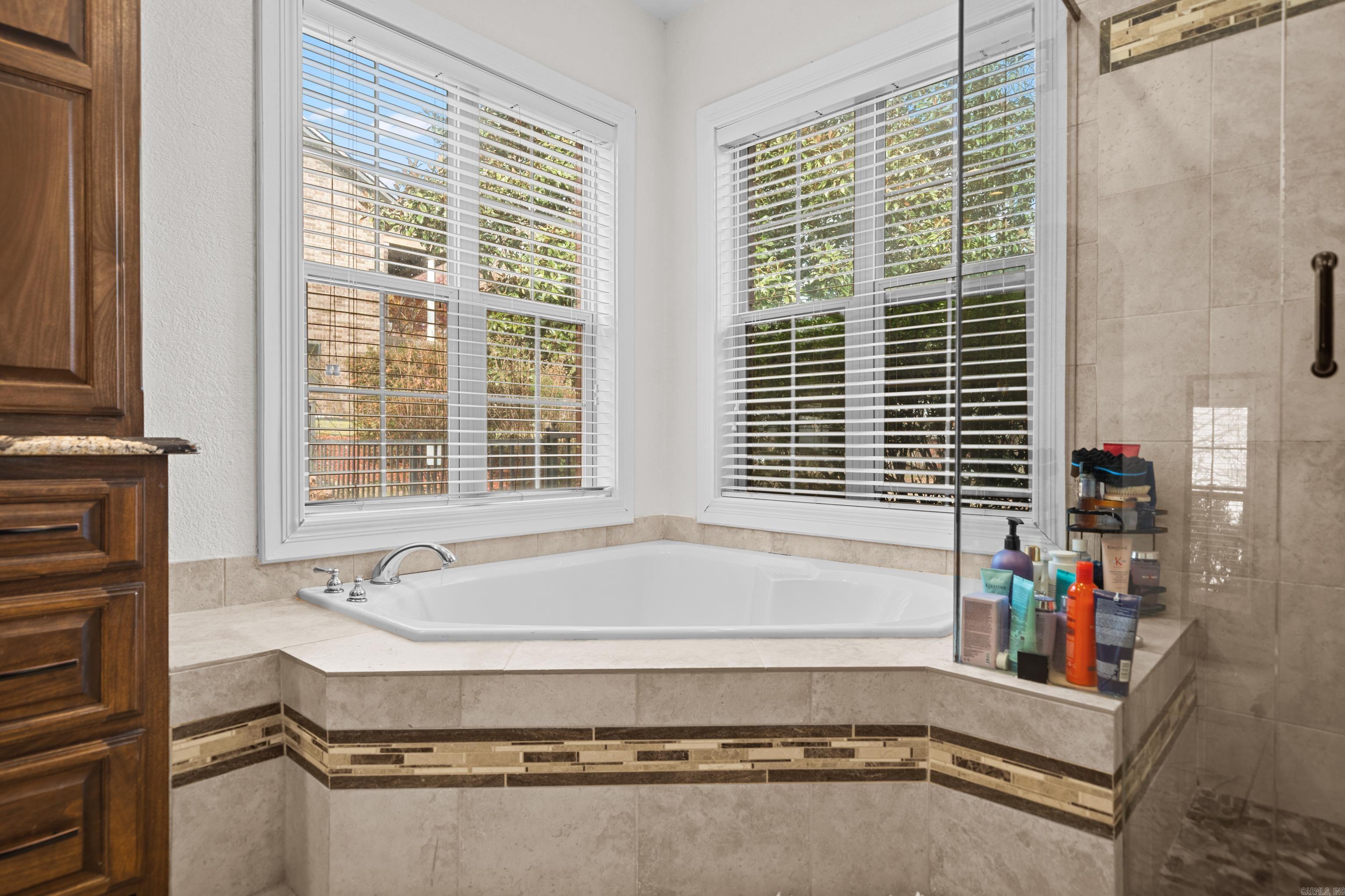 143 Blue Heron  Hot Springs National Park, AR