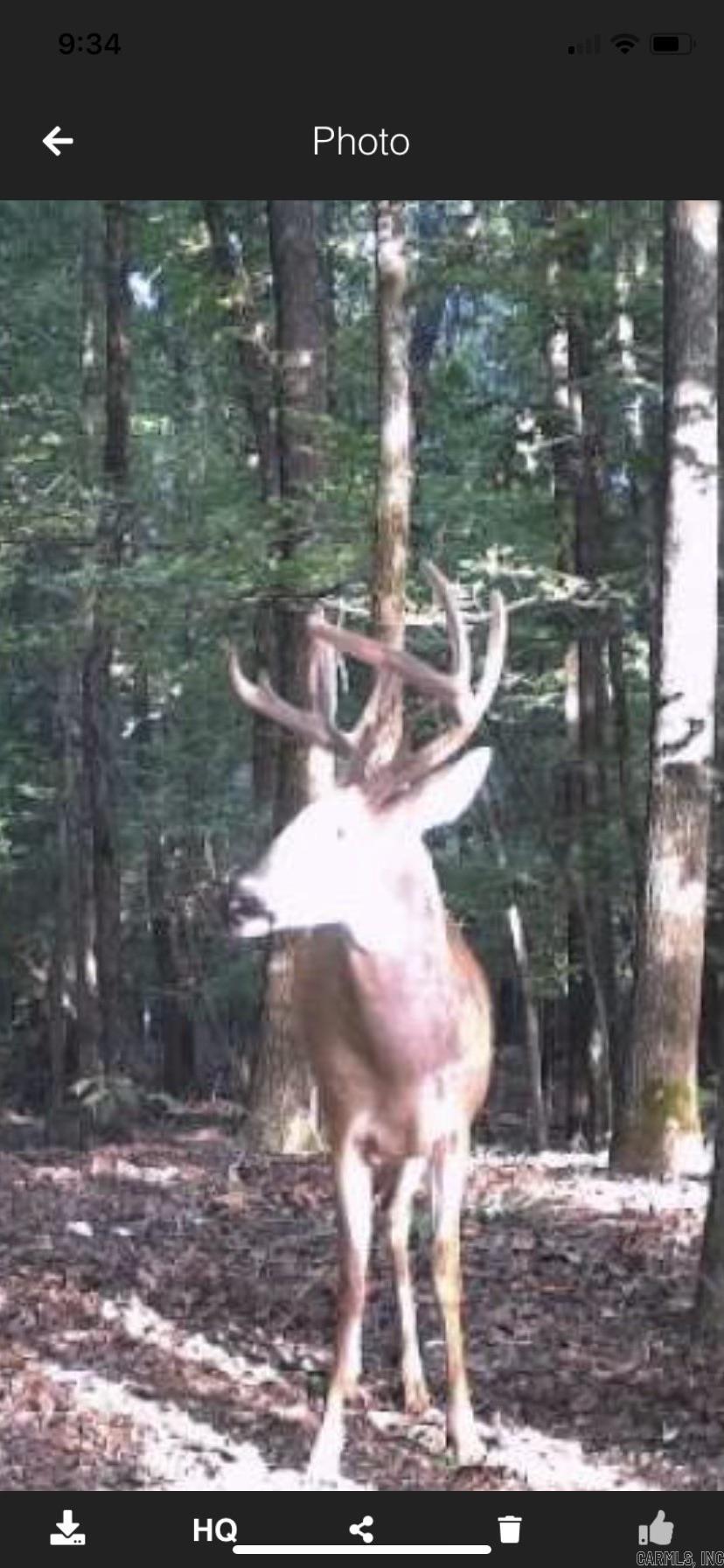 000 Hwy 385 S.  Griffithville, AR