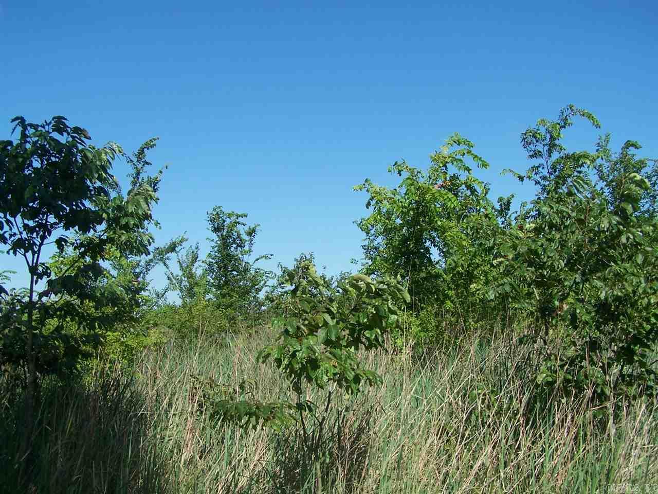 000 Hwy 385 S.  Griffithville, AR