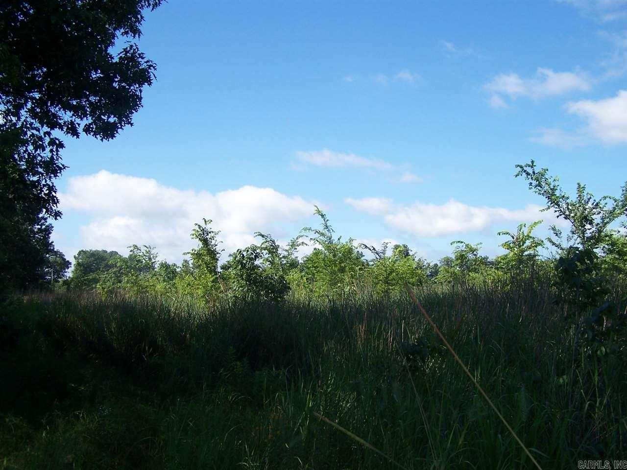 000 Hwy 385 S.  Griffithville, AR