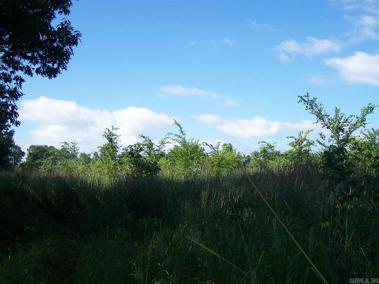 000 Hwy 385 S.  Griffithville, AR