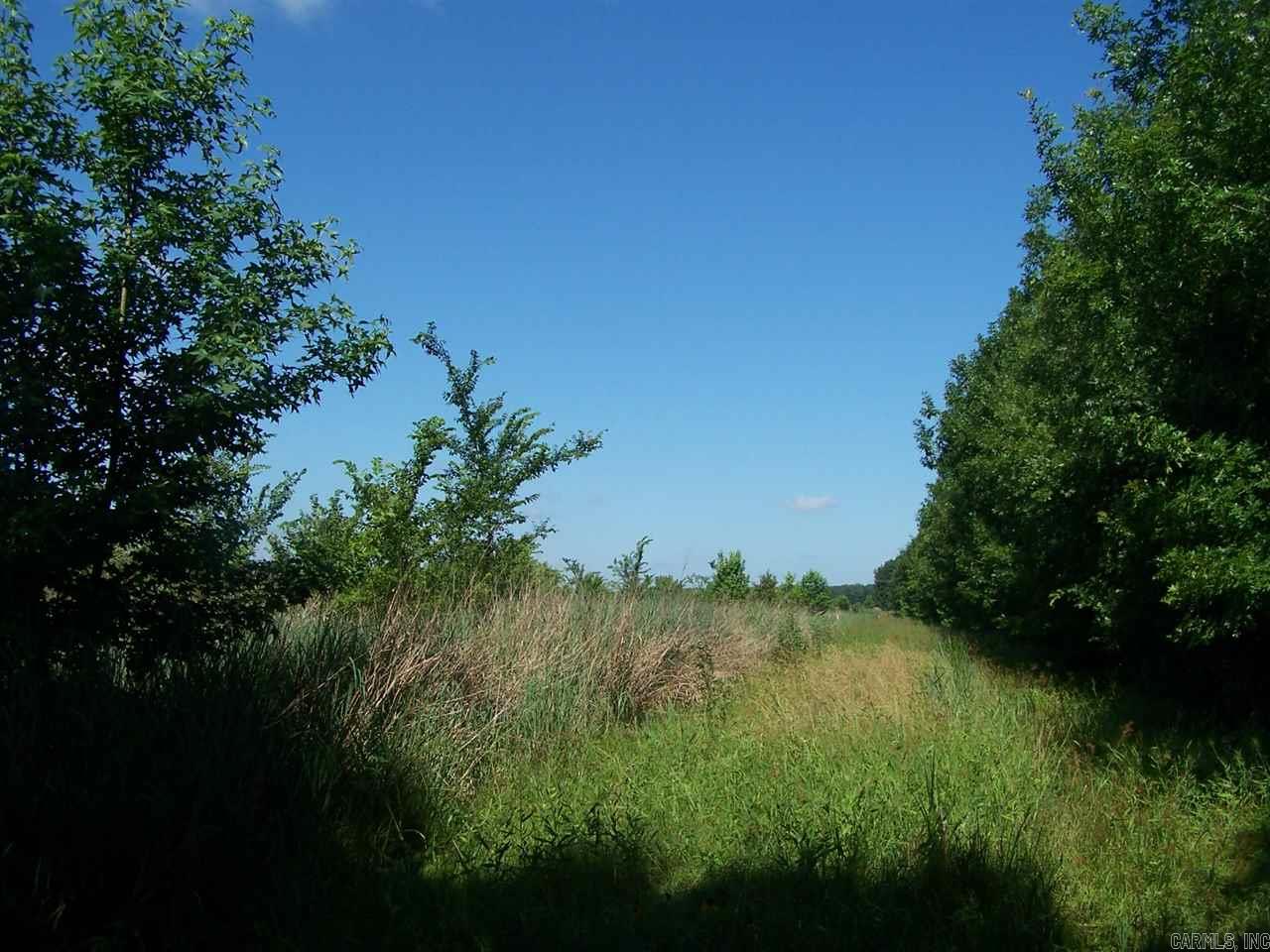 000 Hwy 385 S.  Griffithville, AR