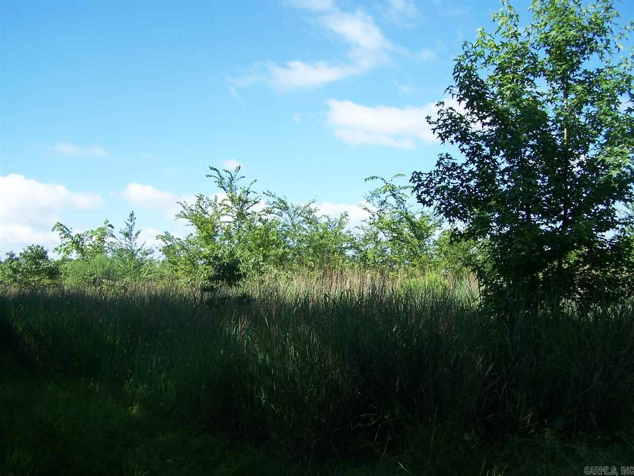 000 Hwy 385 S.  Griffithville, AR