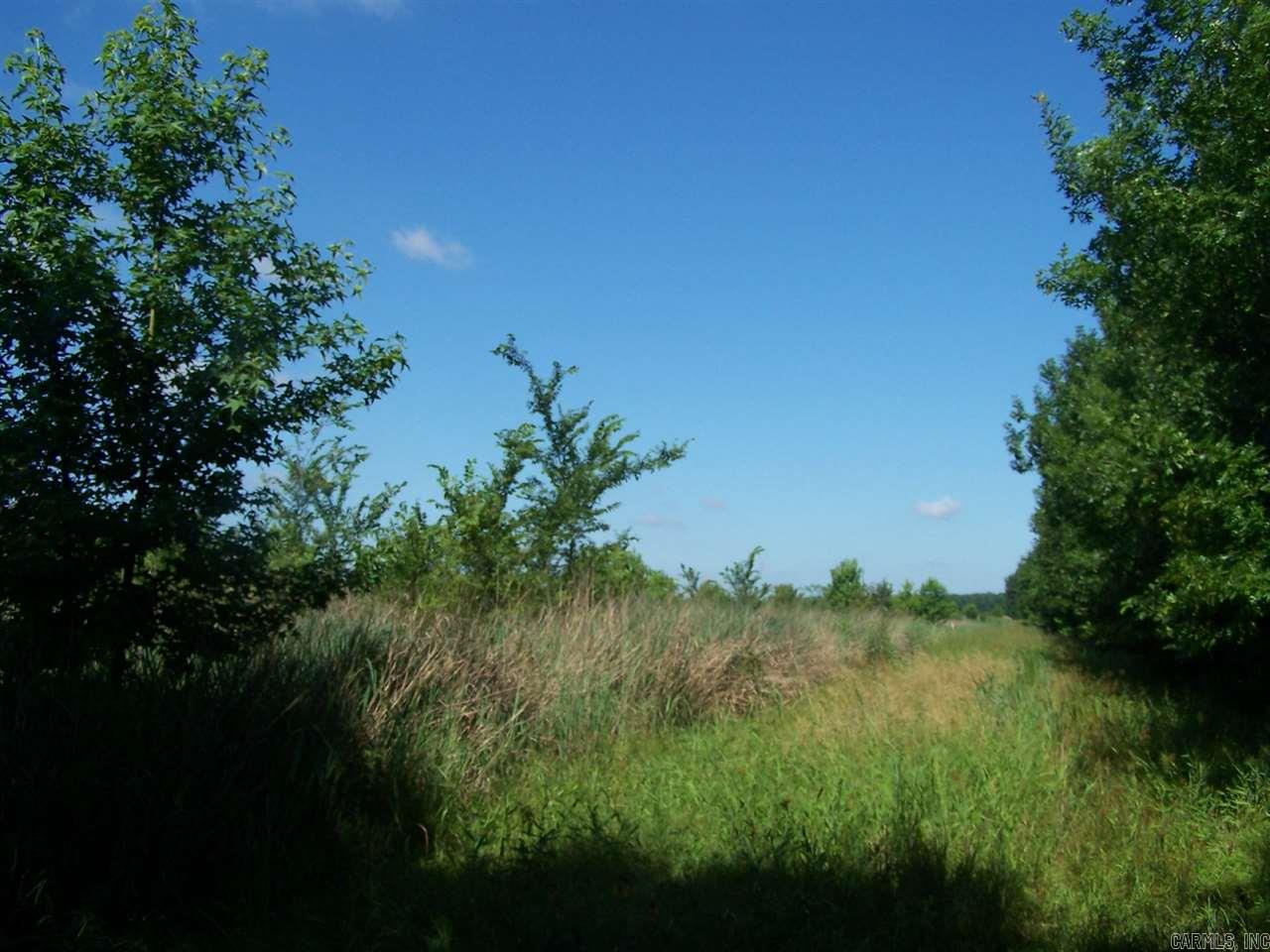 000 Hwy 385 S.  Griffithville, AR