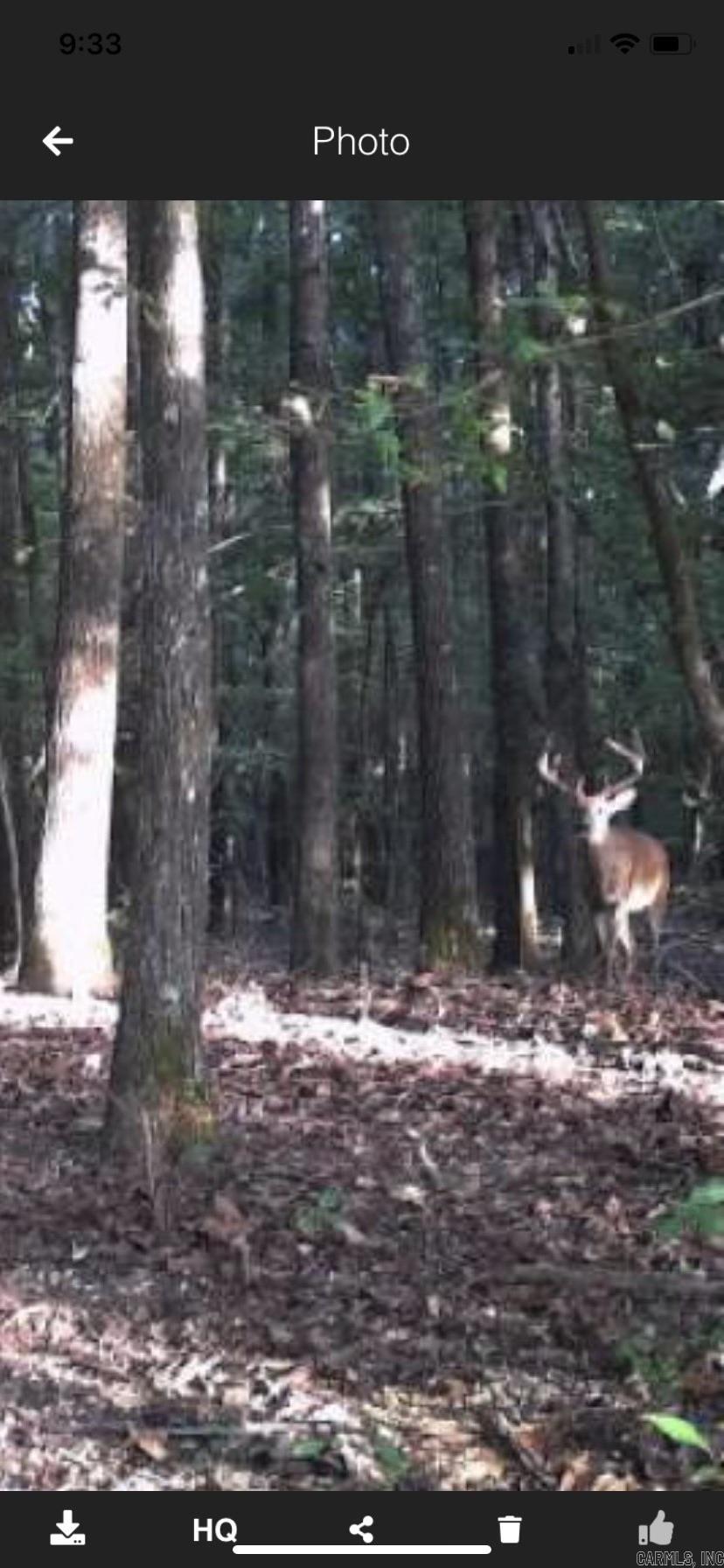 000 Hwy 385 S.  Griffithville, AR