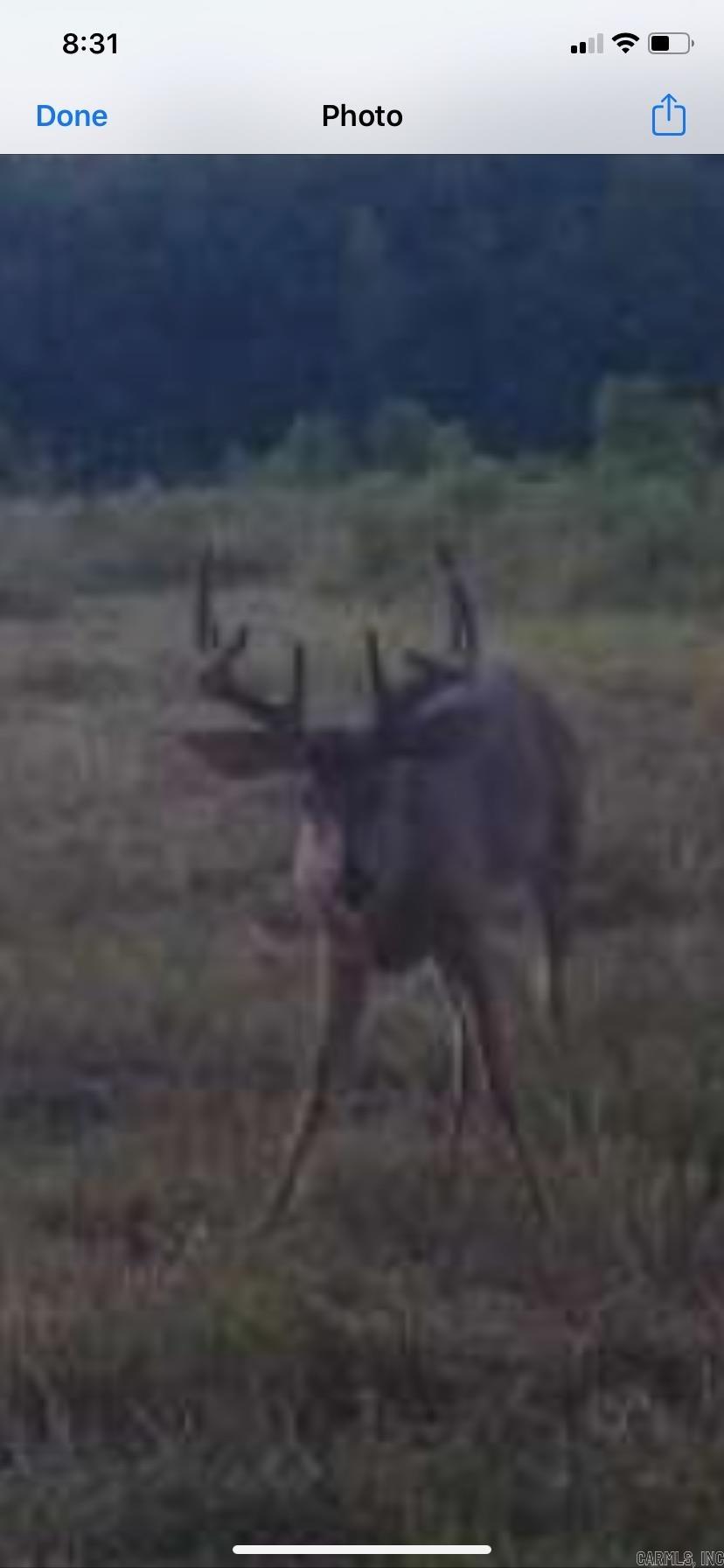 000 Hwy 385 S.  Griffithville, AR