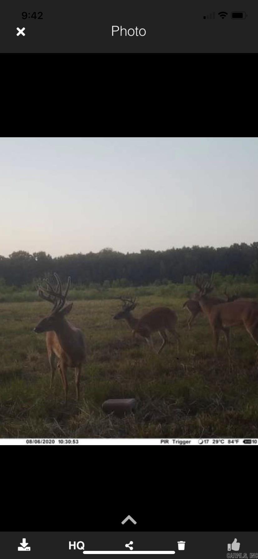 000 Hwy 385 S.  Griffithville, AR