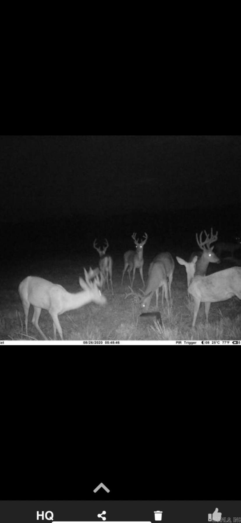 000 Hwy 385 S.  Griffithville, AR