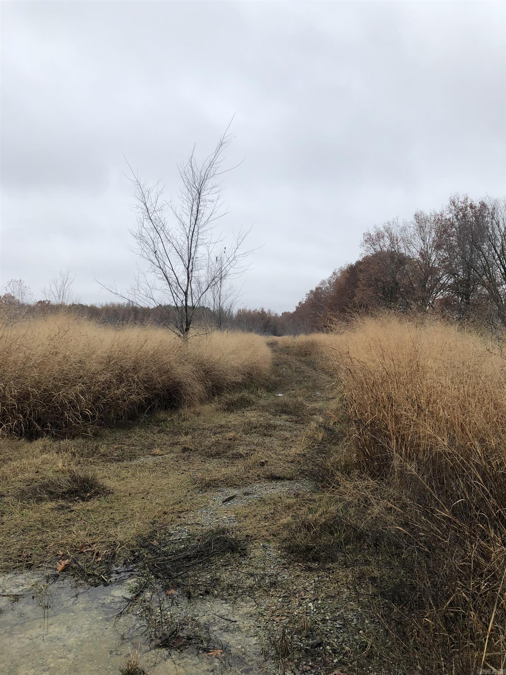 000 Hwy 385 S.  Griffithville, AR