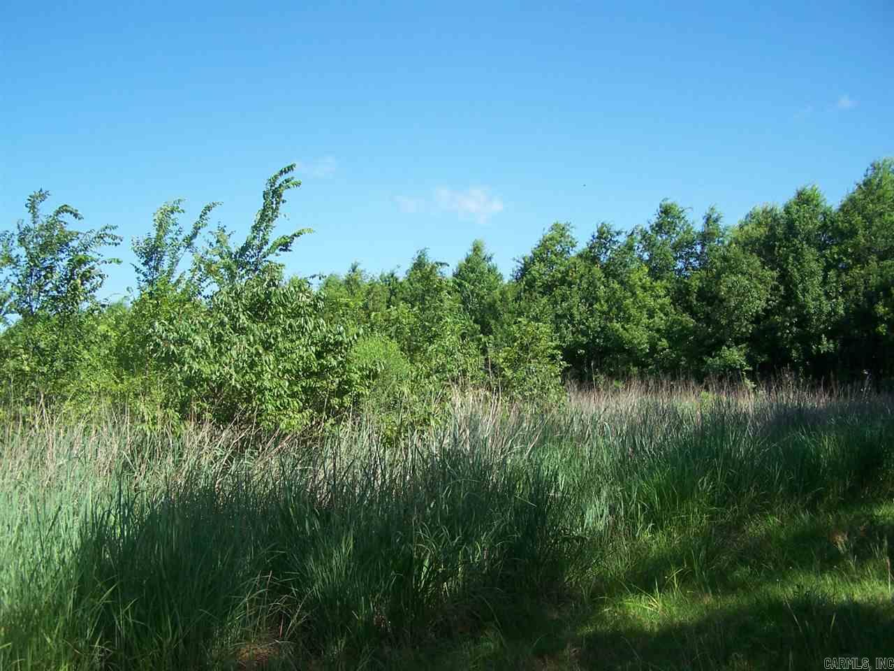 000 Hwy 385 S.  Griffithville, AR