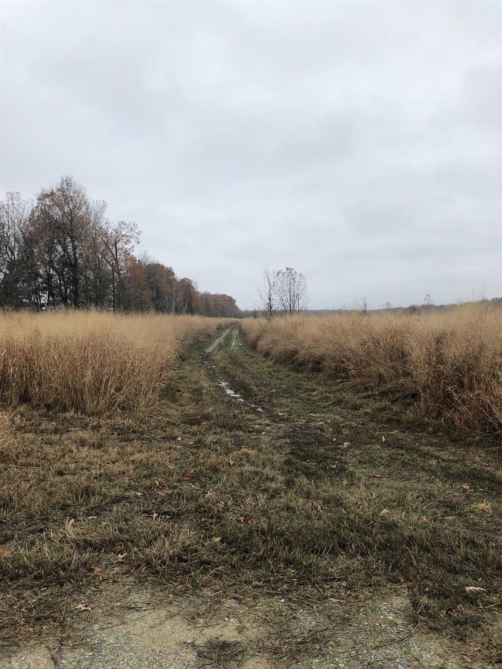 000 Hwy 385 S.  Griffithville, AR