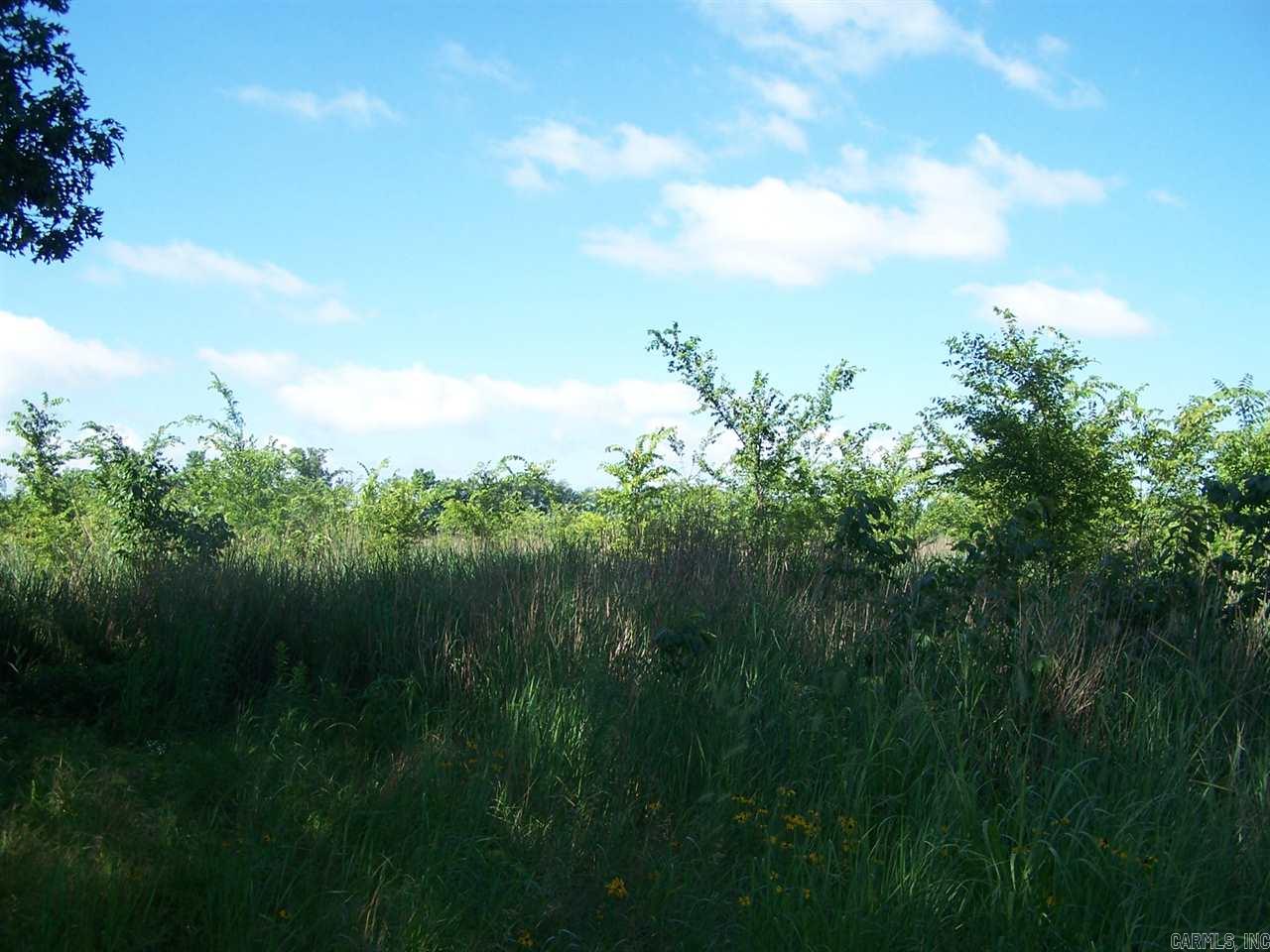 000 Hwy 385 S.  Griffithville, AR