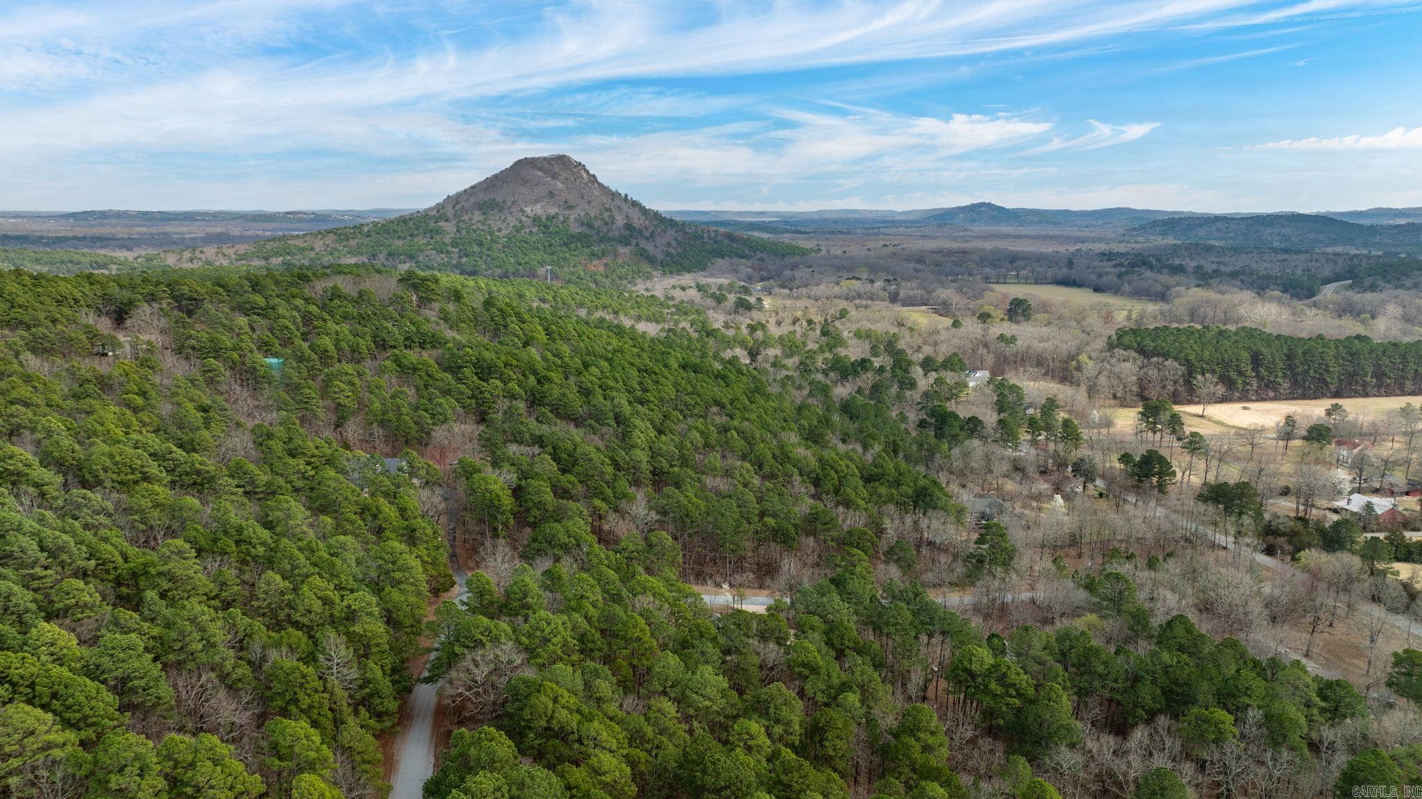 21619 Twin Bluff Loop  Roland, AR