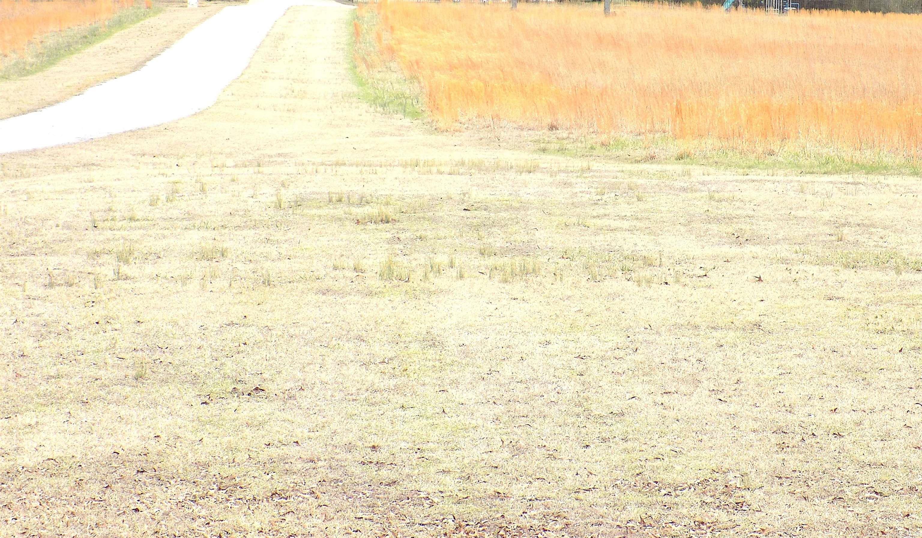 12 Lieblong Rd  Greenbrier, AR