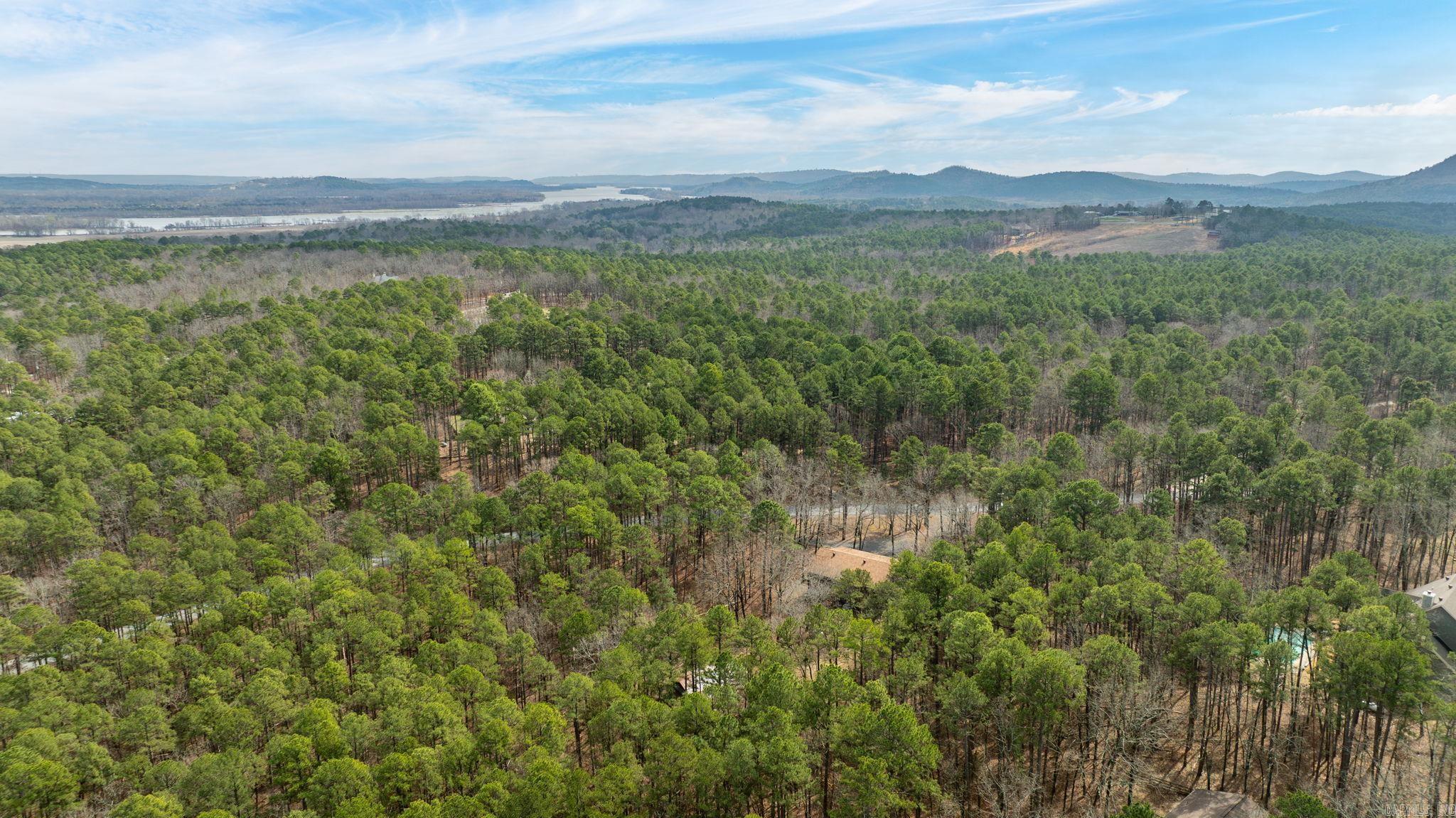 20314 Lake Vista  Roland, AR