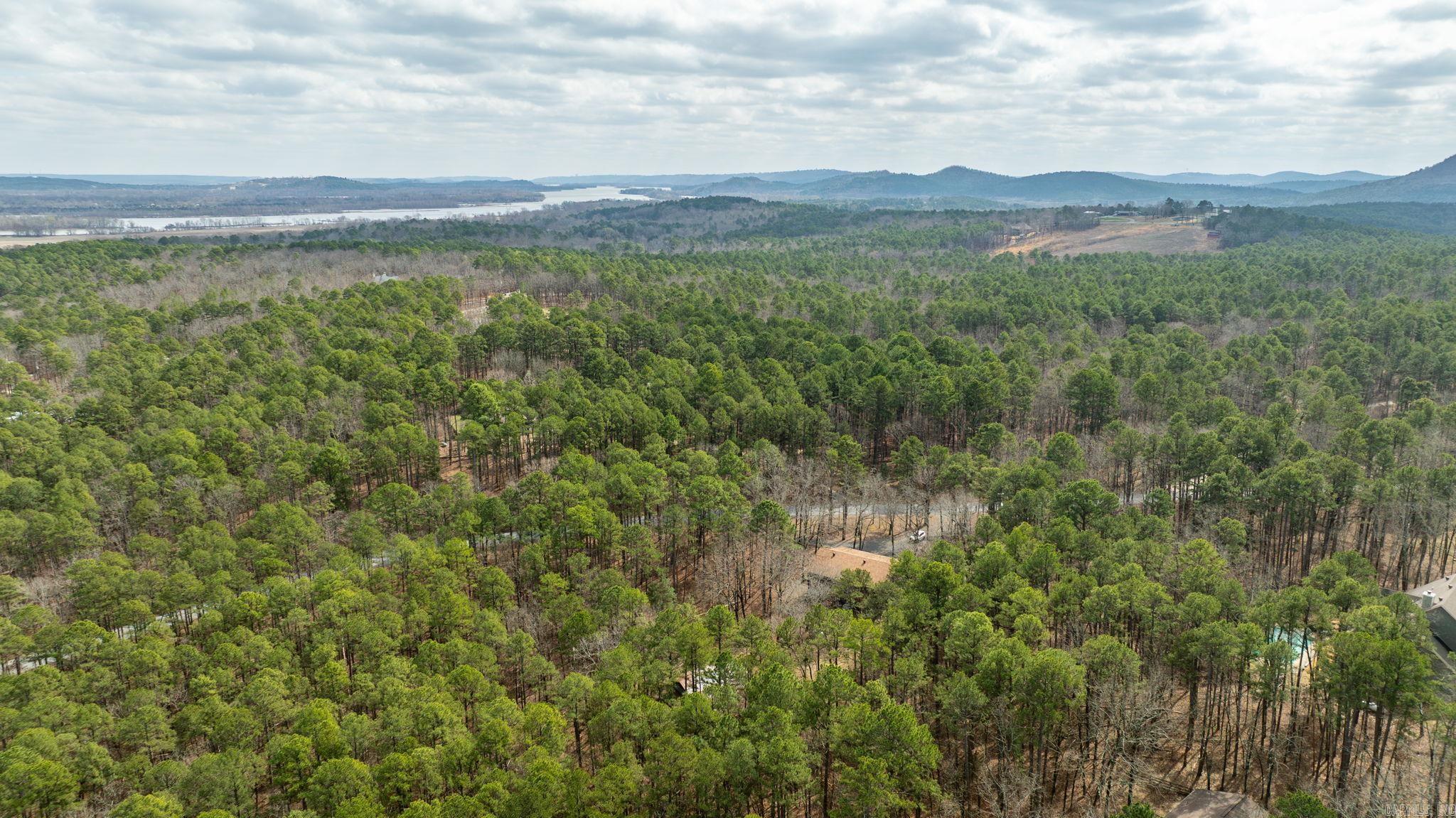 20314 Lake Vista  Roland, AR