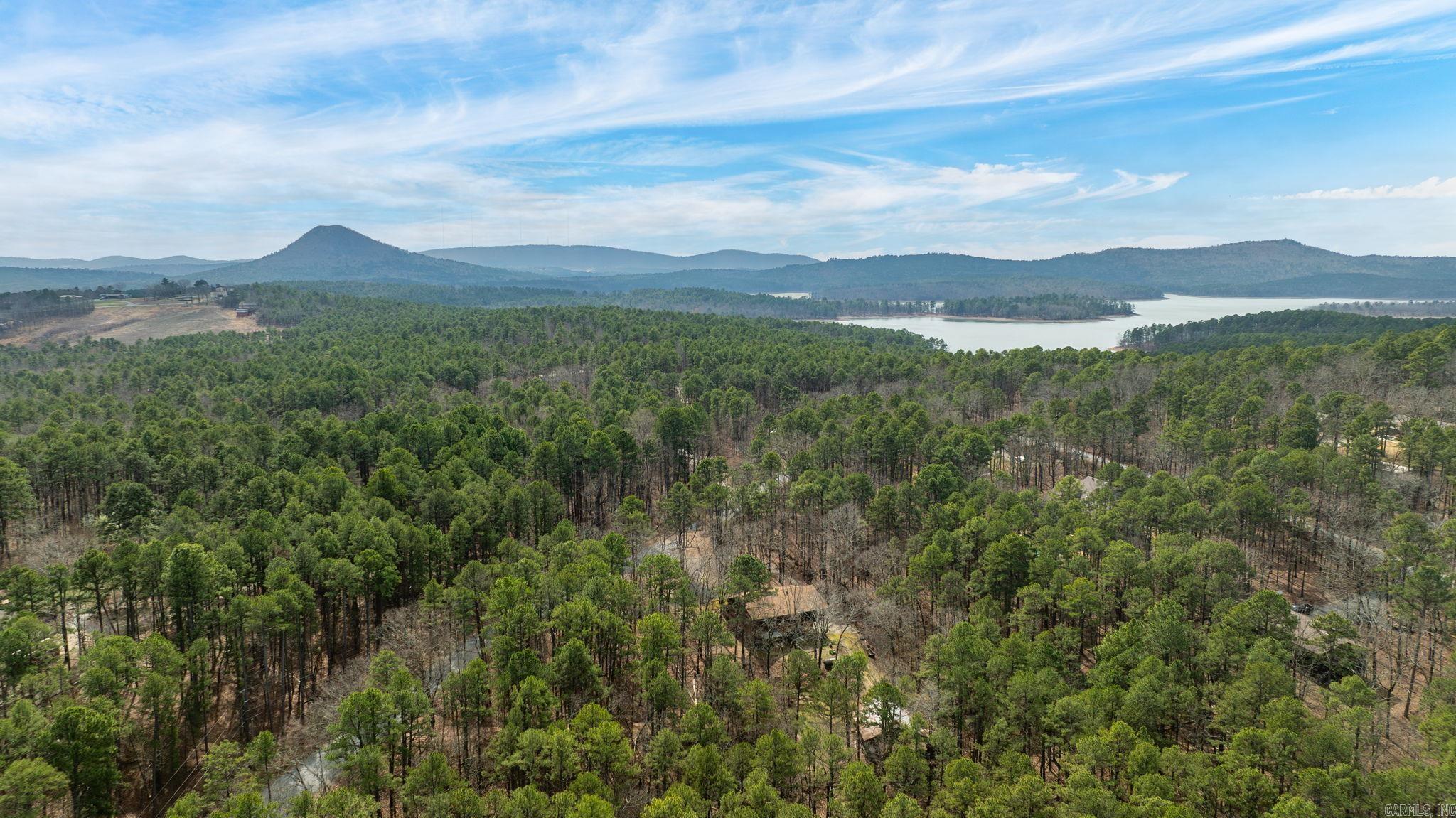 20314 Lake Vista  Roland, AR