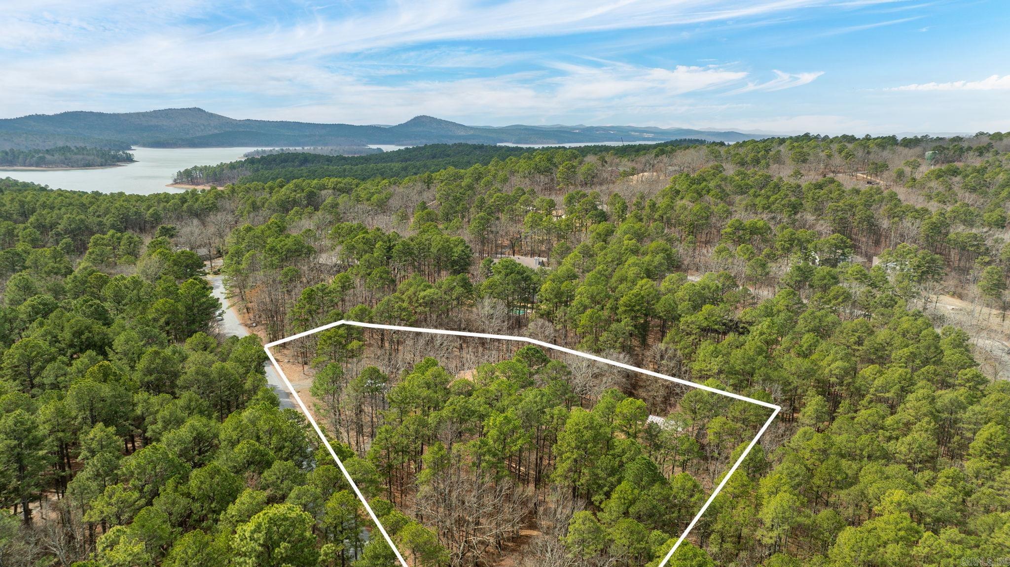 20314 Lake Vista  Roland, AR