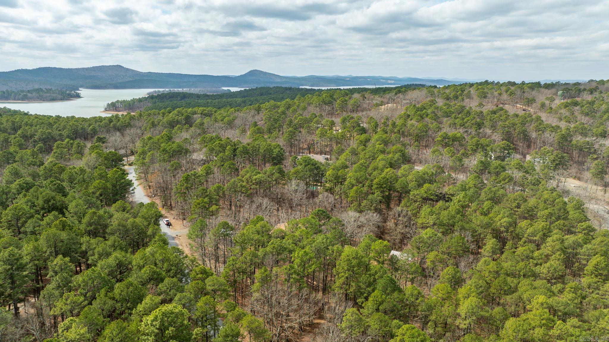 20314 Lake Vista  Roland, AR