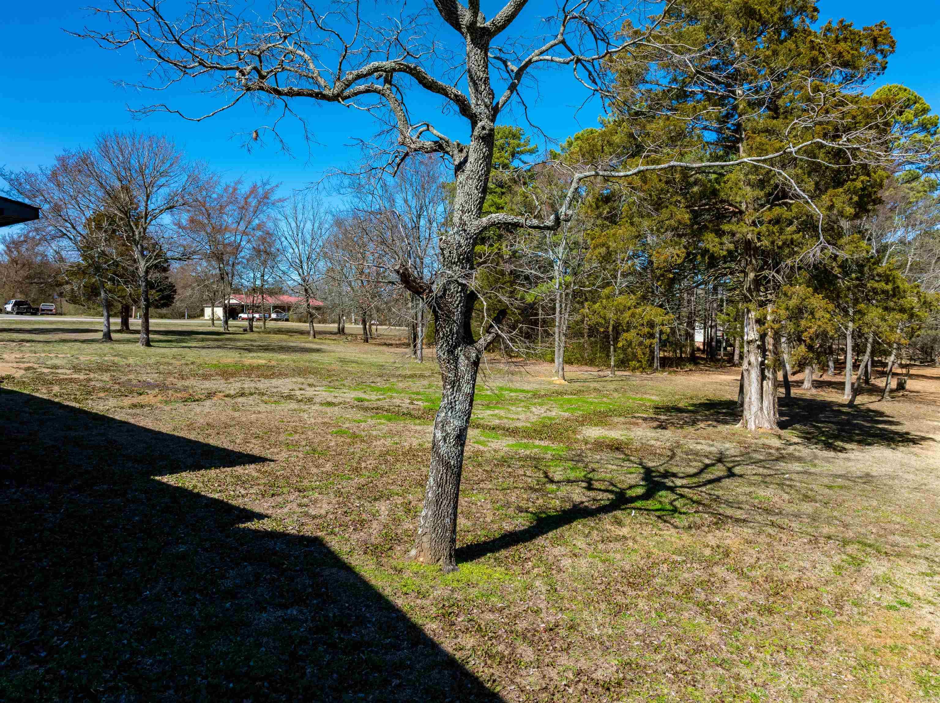 30 Lynndale Dr  Pleasant Plains, AR