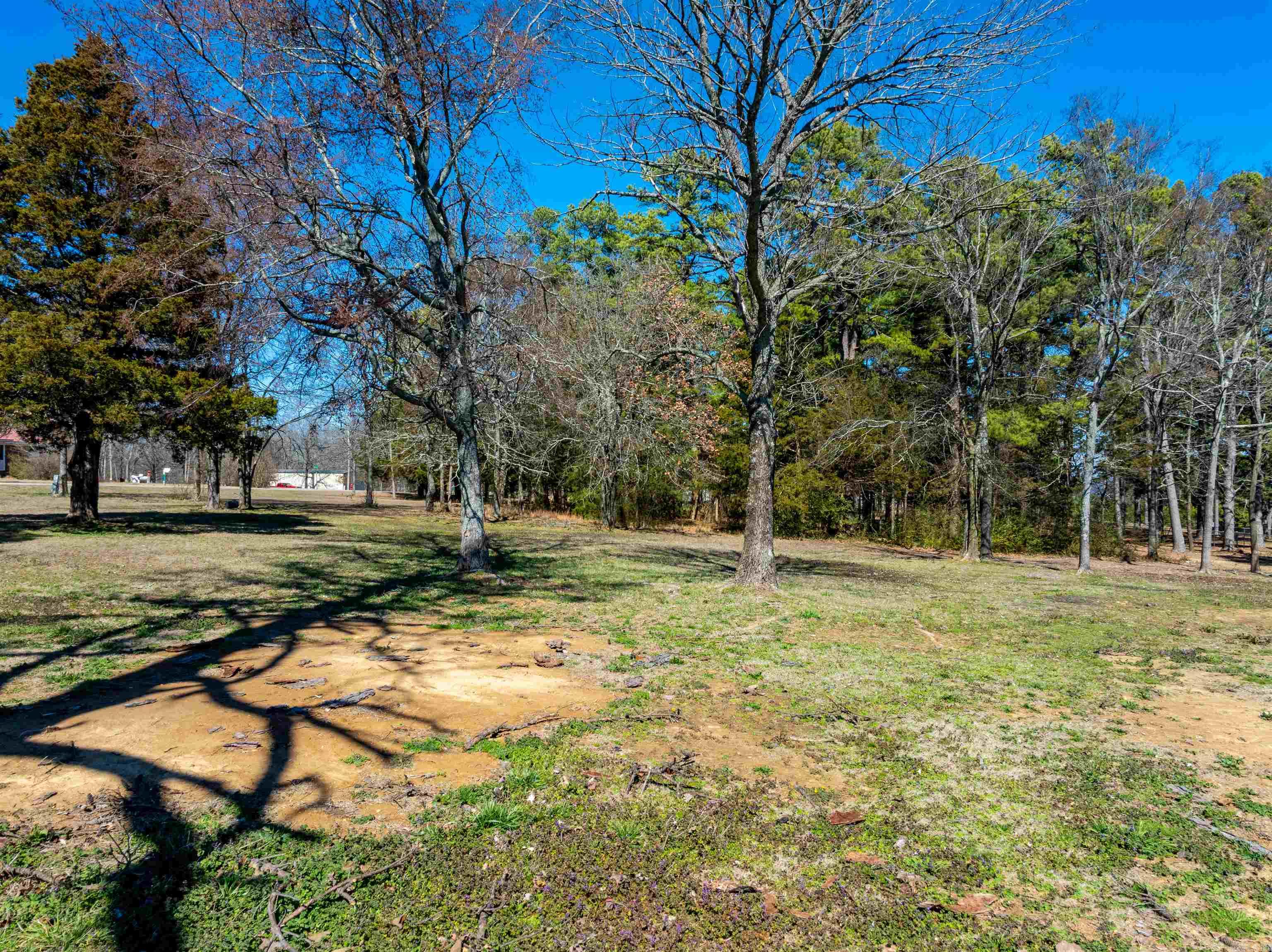 30 Lynndale Dr  Pleasant Plains, AR