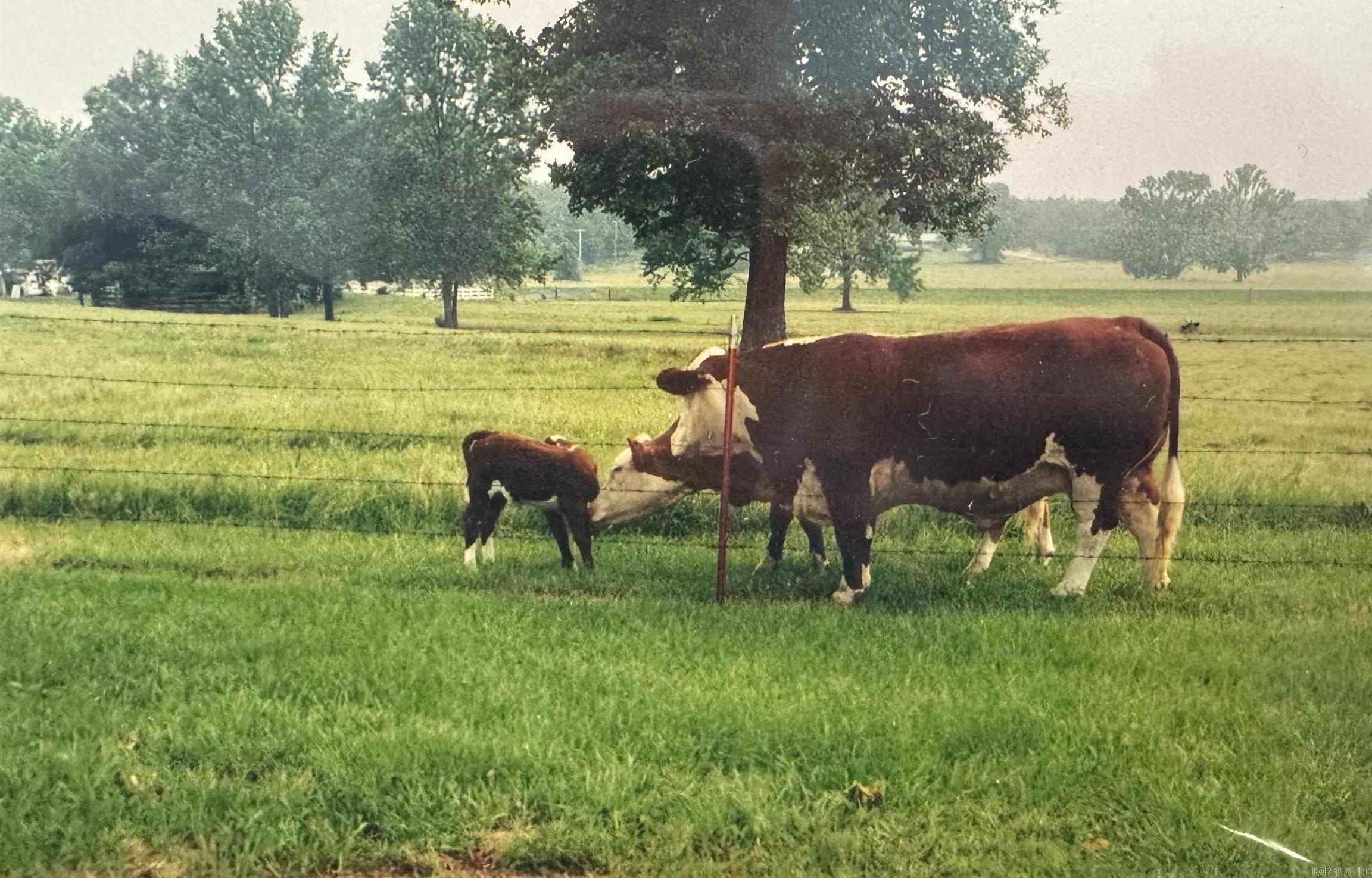 120 AR-287  Greenbrier, AR