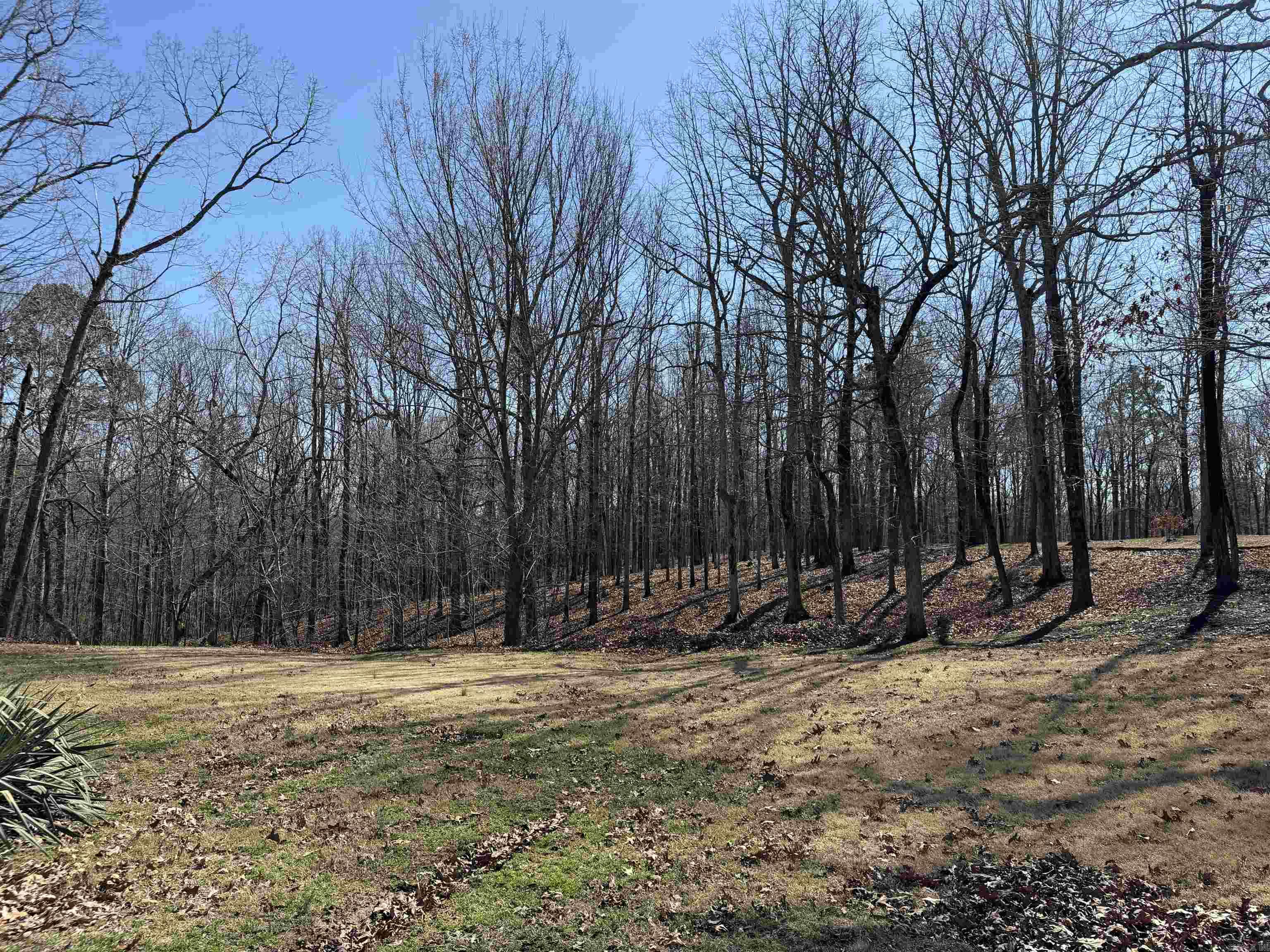 3784 Greene 707  Paragould, AR