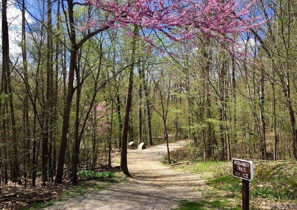 9 Torre del Mar  Hot Springs Village, AR