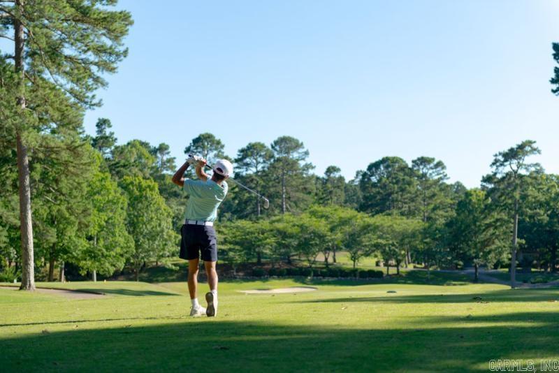 9 Torre del Mar  Hot Springs Village, AR