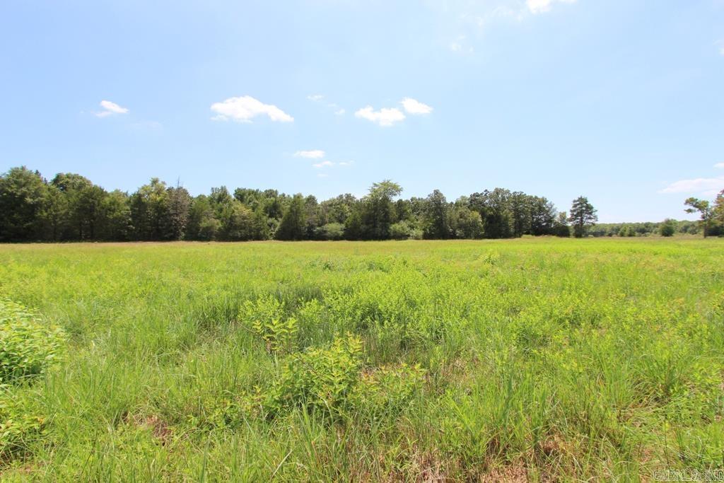 4015 Dave Ward Drive  Conway, AR