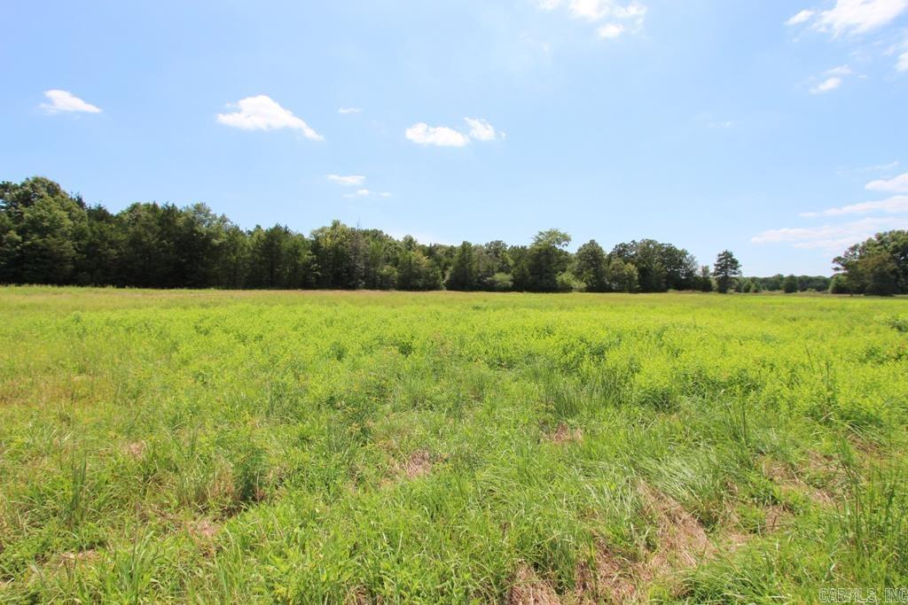 4015 Dave Ward Drive  Conway, AR