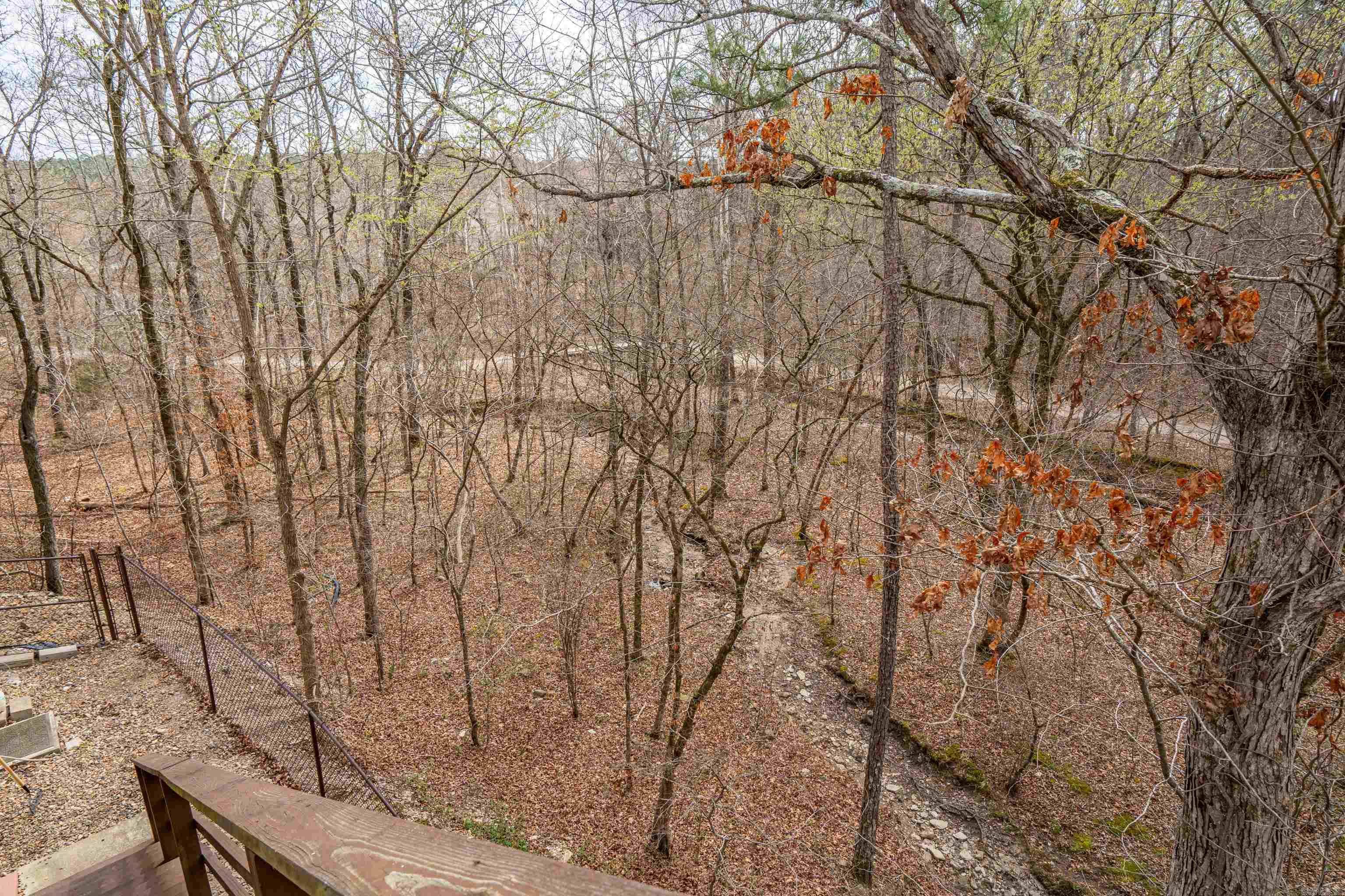 18 LANZA  Hot Springs Village, AR