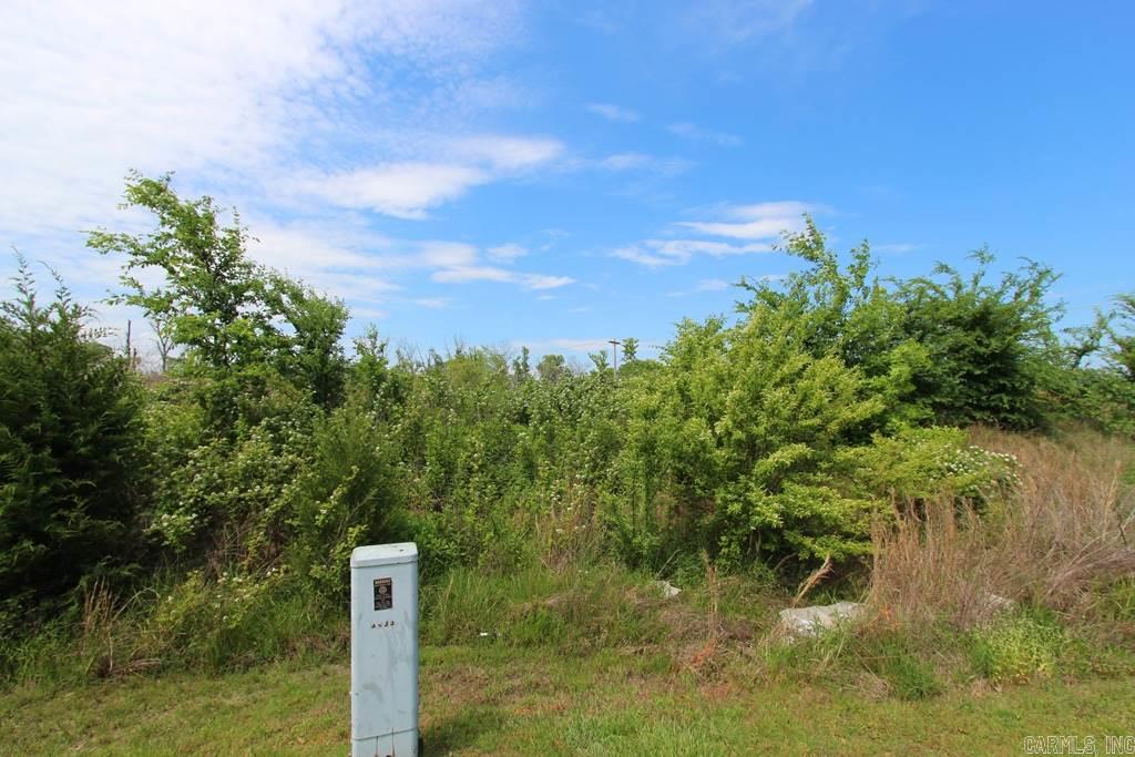 665 S Hogan Lane  Conway, AR